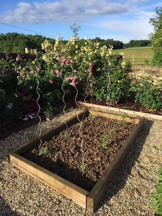 Bed and Breakfast La Girarde Saint-Quentin-de-Caplong Exterior foto